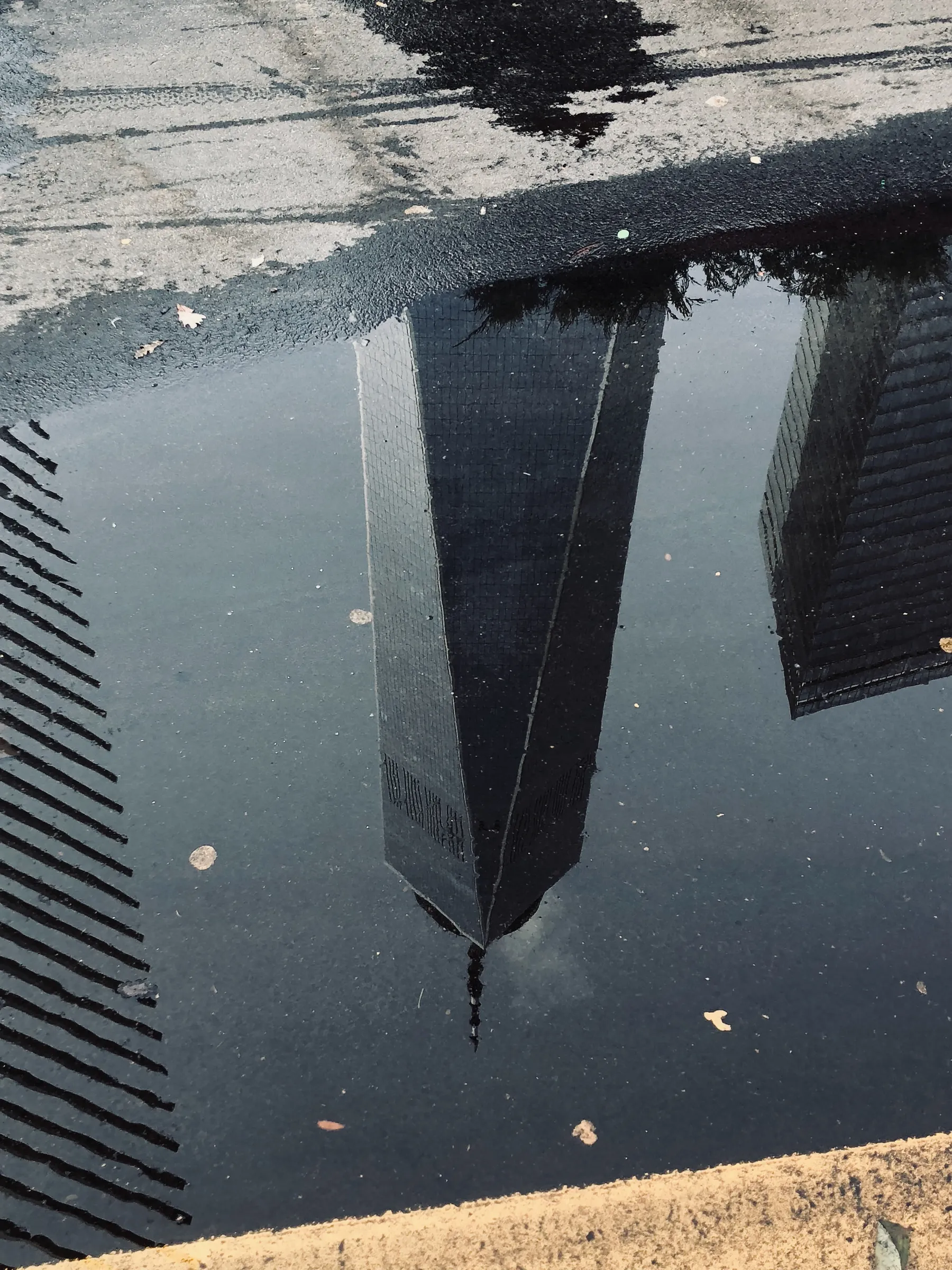 City architecture reflected in a puddle.